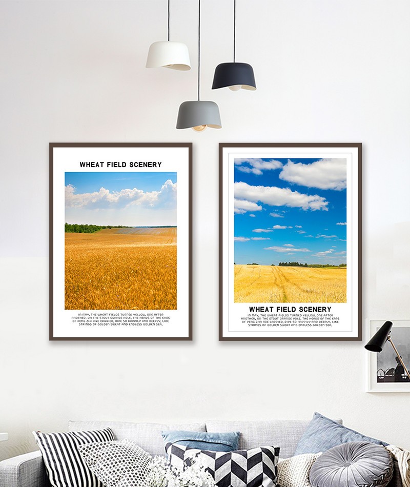 Cánh đồng vàng CBT2-028kg